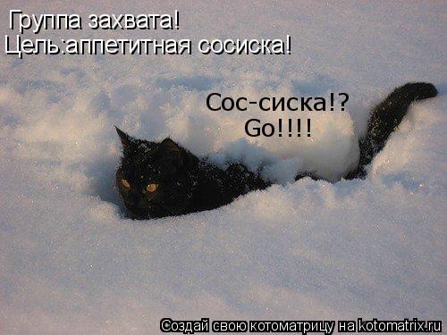 Группа захвата! Цель:аппетитная сосиска! Сос-сиска!? Go!!!!... Котоматрица: Группа захвата! Цель:аппетитная сосиска! Сос-сиска!? Go!!!!