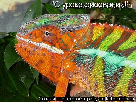 "С урока рисования!"... Котоматрица: "С урока рисования!"