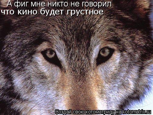 А фиг мне никто не говорил что кино будет грустное... Котоматрица: А фиг мне никто не говорил что кино будет грустное