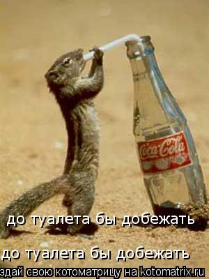 до туалета бы добежать до туалета бы добежать... Котоматрица: до туалета бы добежать до туалета бы добежать