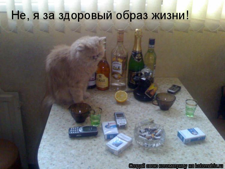 Не, я за здоровый образ жизни!... Котоматрица: Не, я за здоровый образ жизни!