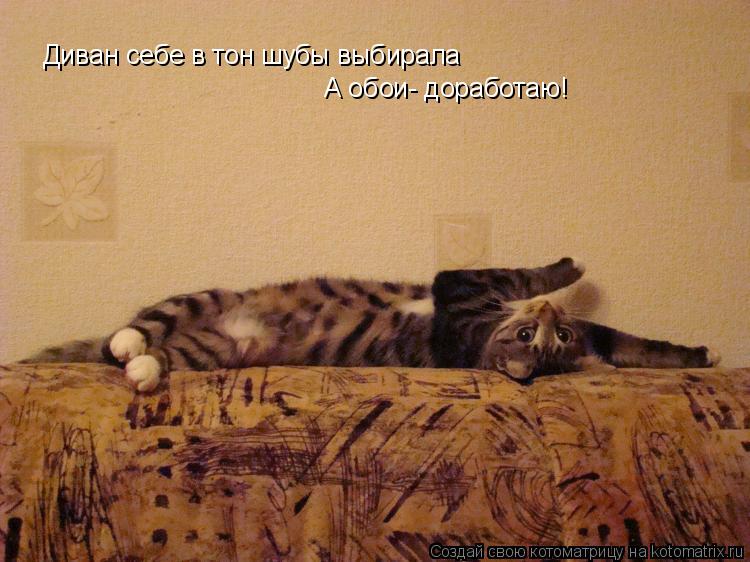 А обои- доработаю! Диван себе в тон шубы выбирала... Котоматрица: А обои- доработаю! Диван себе в тон шубы выбирала