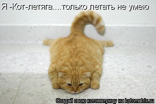 Я -Кот-летяга....только летать не умею,но "крылья"есть Я -Кот-летяга....только летать не умею... Котоматрица: Я -Кот-летяга....только летать не умею,но "крылья"есть Я -Кот-летяга....только летать не умею