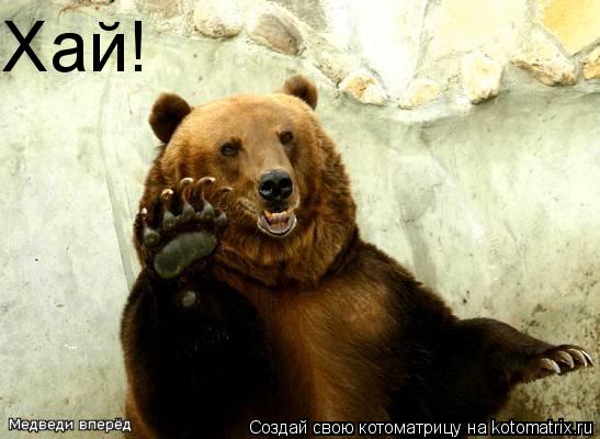 Хай!... Котоматрица: Хай!