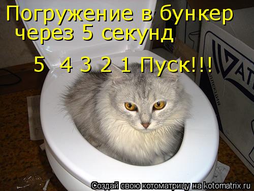 Погружение в бункер через 5 секунд 5 4 3 2 1 Пуск!!!... Котоматрица: Погружение в бункер через 5 секунд 5 4 3 2 1 Пуск!!!