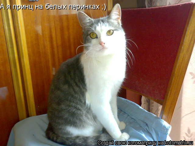 А я принц на белых перинках ;)... Котоматрица: А я принц на белых перинках ;)