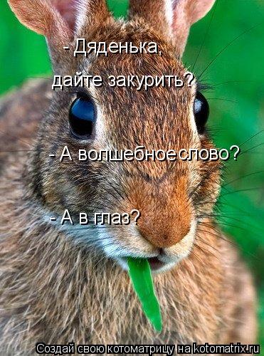 дайте закурить? - Дяденька, - А волшебное слово? - А в глаз?... Котоматрица: дайте закурить? - Дяденька, - А волшебное слово? - А в глаз?