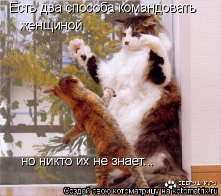 Есть два способа командовать женщиной, но никто их не знает...... Котоматрица: Есть два способа командовать женщиной, но никто их не знает...