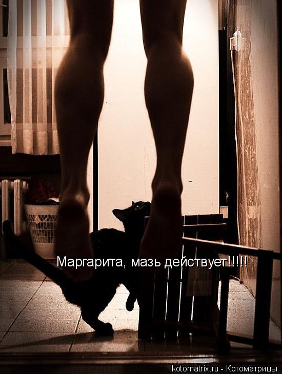 Маргарита, мазь действует!!!!!... Котоматрица: Маргарита, мазь действует!!!!!