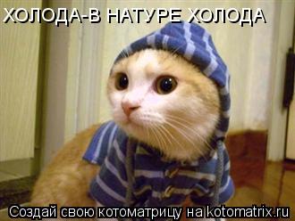 ХОЛОДА-В НАТУРЕ ХОЛОДА... Котоматрица: ХОЛОДА-В НАТУРЕ ХОЛОДА