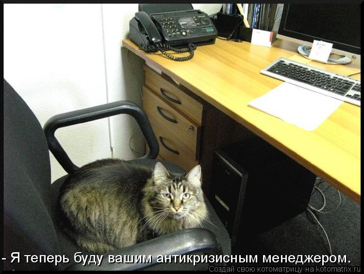 - Я теперь буду вашим антикризисным менеджером.... Котоматрица: - Я теперь буду вашим антикризисным менеджером.