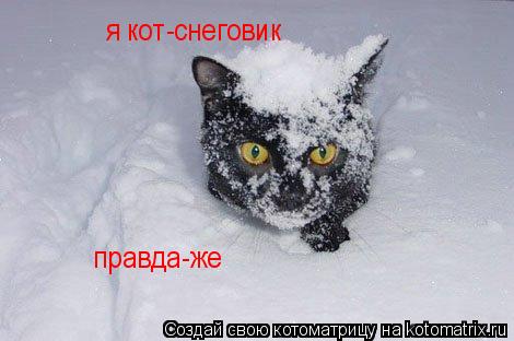 я кот-снеговик правда-же... Котоматрица: я кот-снеговик правда-же