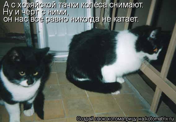 А с хозяйской тачки колёса снимают. Ну и черт с ними, он нас всё равно никогда не катает.... Котоматрица: А с хозяйской тачки колёса снимают. Ну и черт с ними, он нас всё равно никогда не катает.