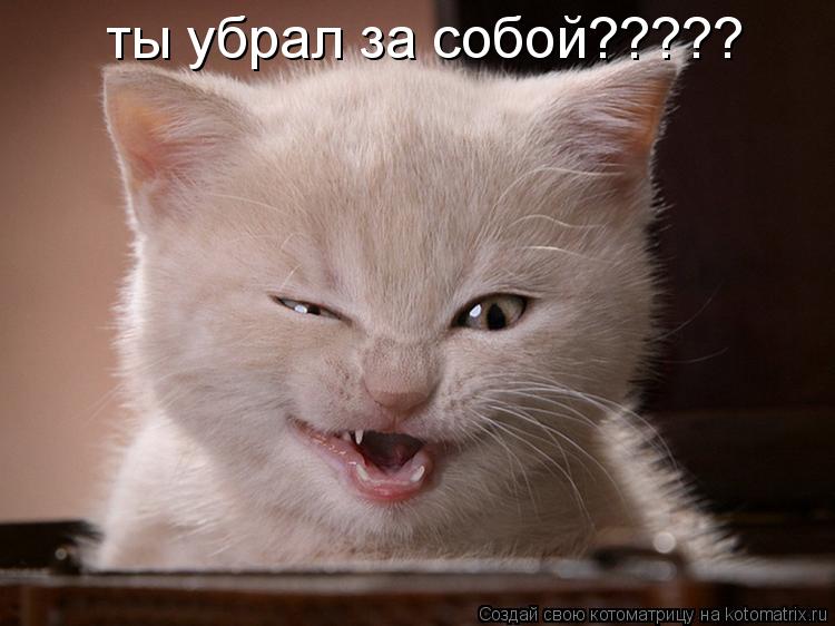 ты убрал за собой?????... Котоматрица: ты убрал за собой?????