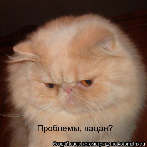 Проблемы, пацан?... Котоматрица: Проблемы, пацан?