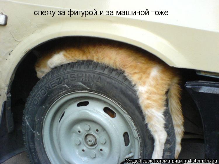 слежу за фигурой и за машиной тоже... Котоматрица: слежу за фигурой и за машиной тоже
