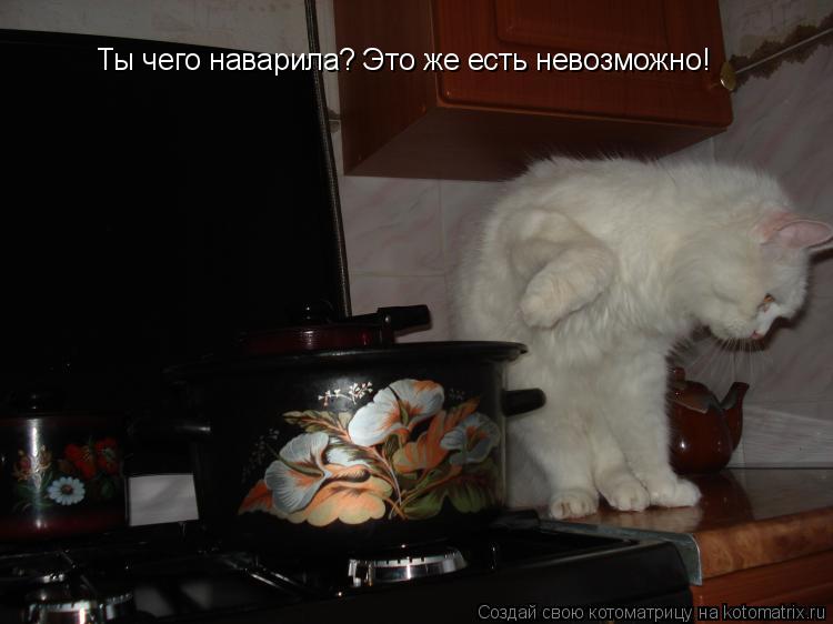 Ты чего наварила? Это же есть невозможно!... Котоматрица: Ты чего наварила? Это же есть невозможно!