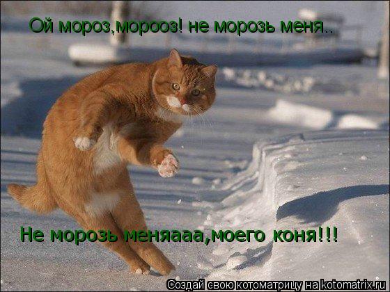 Ой мороз,морооз! не морозь меня.. Не морозь меняааа,моего коня!!!... Котоматрица: Ой мороз,морооз! не морозь меня.. Не морозь меняааа,моего коня!!!