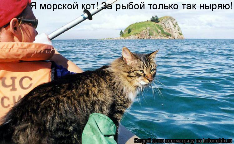 Я морской кот! За рыбой только так ныряю!... Котоматрица: Я морской кот! За рыбой только так ныряю!