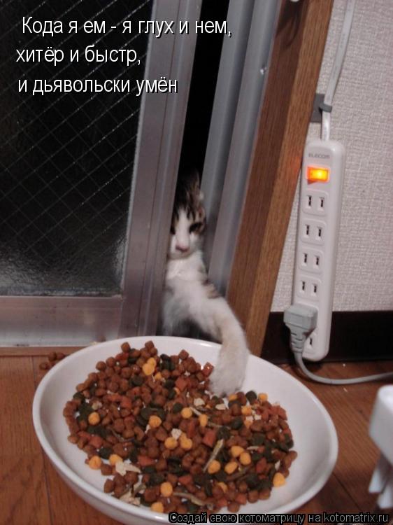 Кода я ем - я глух и нем, хитёр и быстр, и дьявольски умён... Котоматрица: Кода я ем - я глух и нем, хитёр и быстр, и дьявольски умён