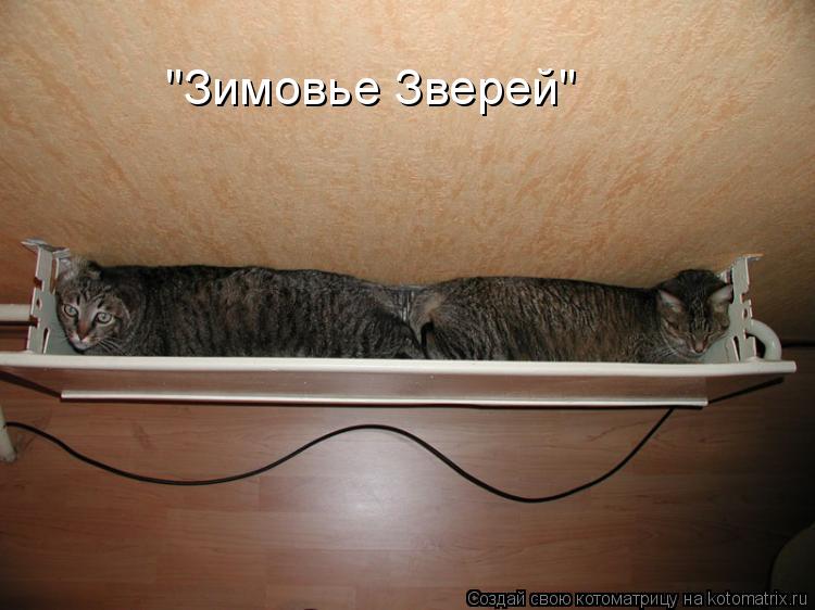 "Зимовье Зверей"... Котоматрица: "Зимовье Зверей"
