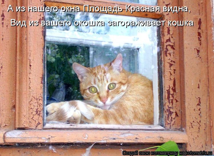 А из нашего окна Площадь Красная видна, Вид из вашего окошка загораживает кошка... Котоматрица: А из нашего окна Площадь Красная видна, Вид из вашего окошка загораживает кошка