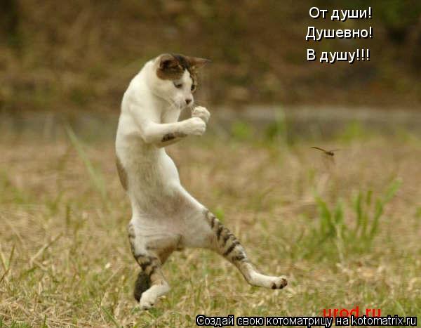 От души! Душевно! В душу!!!... Котоматрица: От души! Душевно! В душу!!!