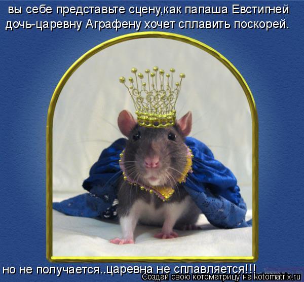 вы себе представьте сцену,как папаша Евстигней дочь-царевну Аграфену хочет сплавить поскорей. но не п... Котоматрица: вы себе представьте сцену,как папаша Евстигней дочь-царевну Аграфену хочет сплавить поскорей. но не получается... .царевна не сплавляется!!!