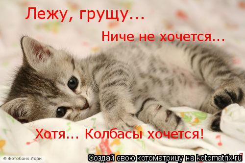 Лежу, грущу... Ниче не хочется... Хотя... Колбасы хочется!... Котоматрица: Лежу, грущу... Ниче не хочется... Хотя... Колбасы хочется!