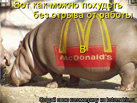 Вот как можно похудеть без отрыва от работы В... Котоматрица: Вот как можно похудеть без отрыва от работы В
