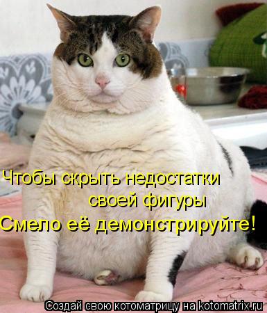 Чтобы скрыть недостатки своей фигуры Смело её демонстрируйте!... Котоматрица: Чтобы скрыть недостатки своей фигуры Смело её демонстрируйте!