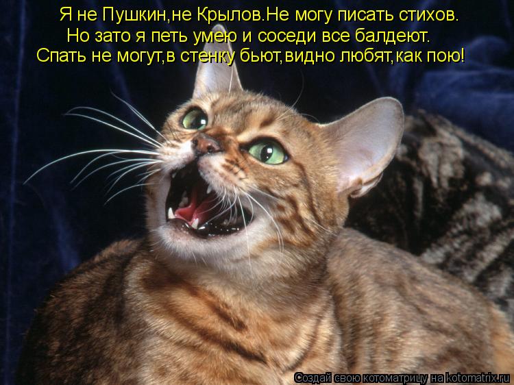 Я не Пушкин,не Крылов.Не могу писать стихов. Но зато я петь умею и соседи все балдеют. Спать не могут... Котоматрица: Я не Пушкин,не Крылов.Не могу писать стихов. Но зато я петь умею и соседи все балдеют. Спать не могут,в стенку бьют,видно любят,как пою!