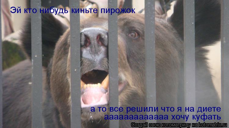 Эй кто нибудь киньте пирожок а то все решили что я на диете ааааааааааааа хочу куфать... Котоматрица: Эй кто нибудь киньте пирожок а то все решили что я на диете ааааааааааааа хочу куфать