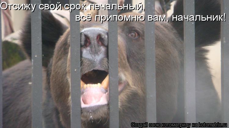 Отсижу свой срок печальный, всё припомню вам, начальник!... Котоматрица: Отсижу свой срок печальный, всё припомню вам, начальник!