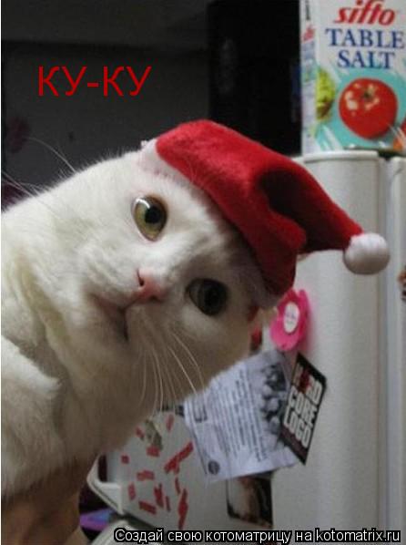 КУ-КУ... Котоматрица: КУ-КУ