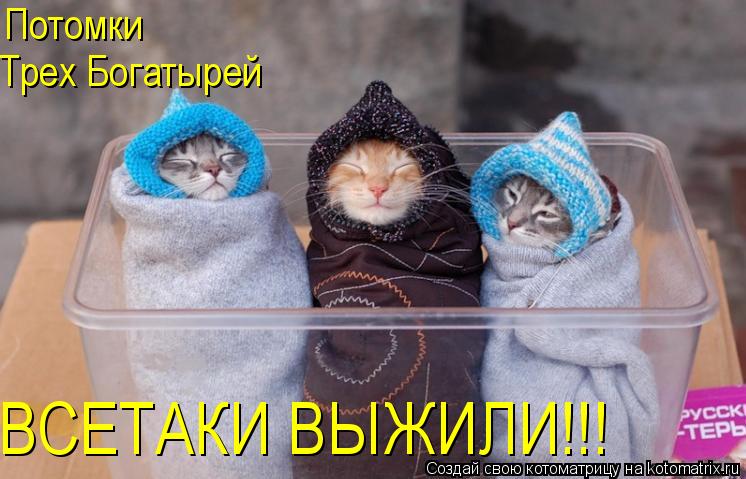 Потомки Трех Богатырей ВСЕТАКИ ВЫЖИЛИ!!!... Котоматрица: Потомки Трех Богатырей ВСЕТАКИ ВЫЖИЛИ!!!