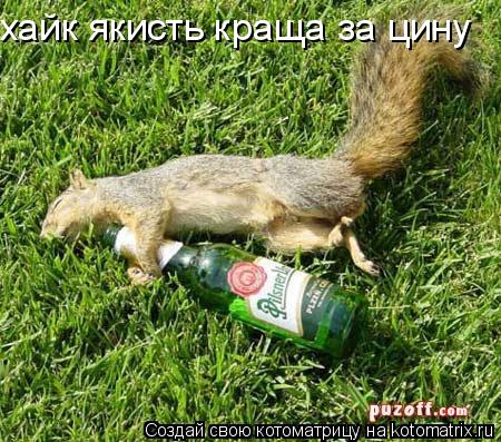 хайк якисть краща за цину... Котоматрица: хайк якисть краща за цину