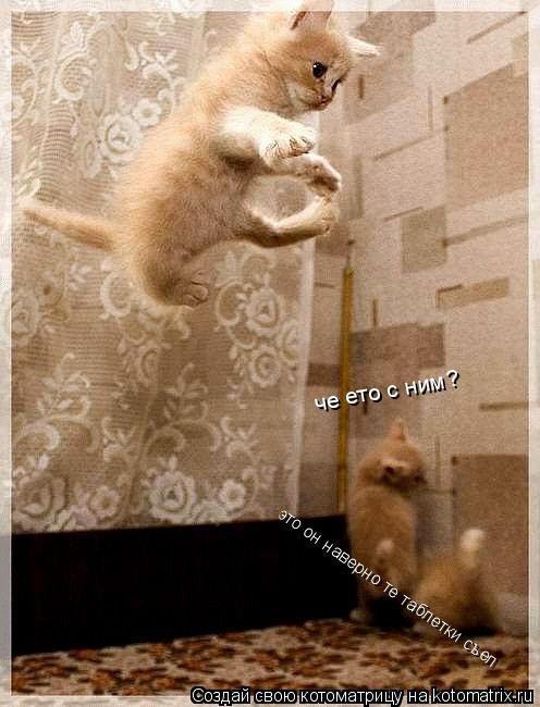 че ето с ним? это он наверно те таблетки съел... Котоматрица: че ето с ним? это он наверно те таблетки съел