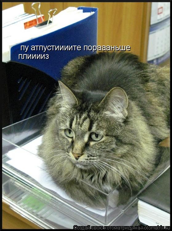 пу атпустиииите пораааньше плииииз... Котоматрица: пу атпустиииите пораааньше плииииз