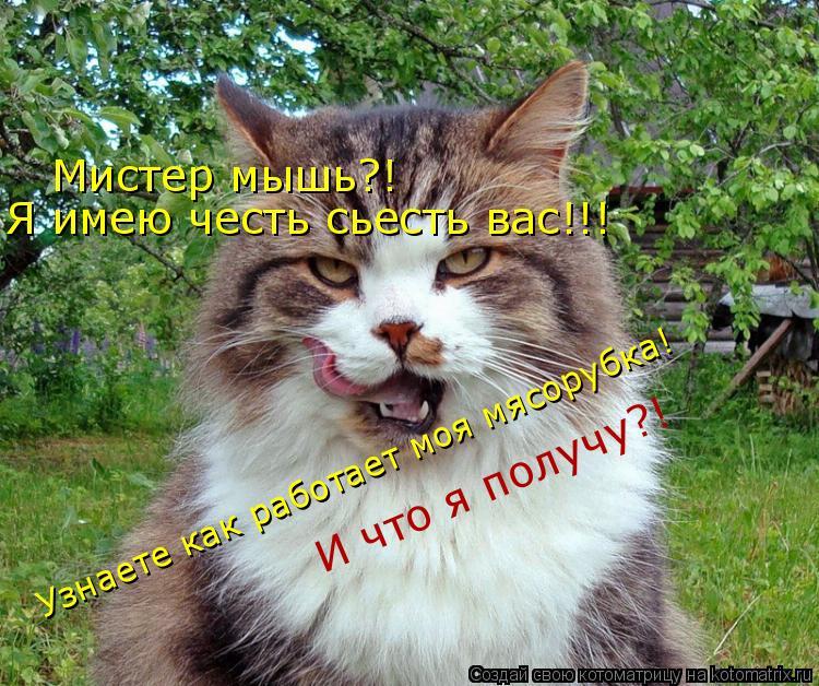 Мистер мышь?! Я имею честь сьесть вас!!! И что я получу?! Узнаете как работает моя мясорубка!... Котоматрица: Мистер мышь?! Я имею честь сьесть вас!!! И что я получу?! Узнаете как работает моя мясорубка!
