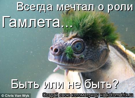 Быть или не быть? Всегда мечтал о роли Гамлета...... Котоматрица: Быть или не быть? Всегда мечтал о роли Гамлета...