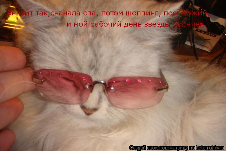 Значит так,сначала спа, потом шоппинг, после ужин, и мой рабочий день звезды окончен.... Котоматрица: Значит так,сначала спа, потом шоппинг, после ужин, и мой рабочий день звезды окончен.