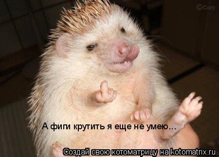 А фиги крутить я еще не умею...... Котоматрица: А фиги крутить я еще не умею...