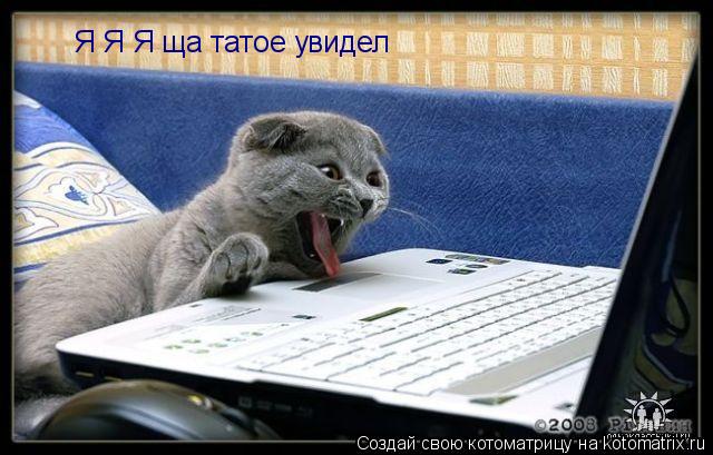 Я Я Я ща татое увидел... Котоматрица: Я Я Я ща татое увидел