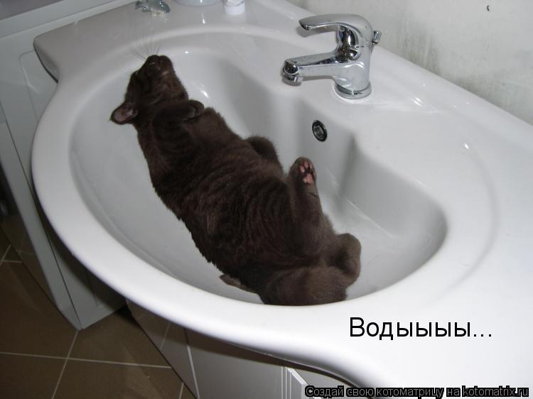 Водыыыы...... Котоматрица: Водыыыы...