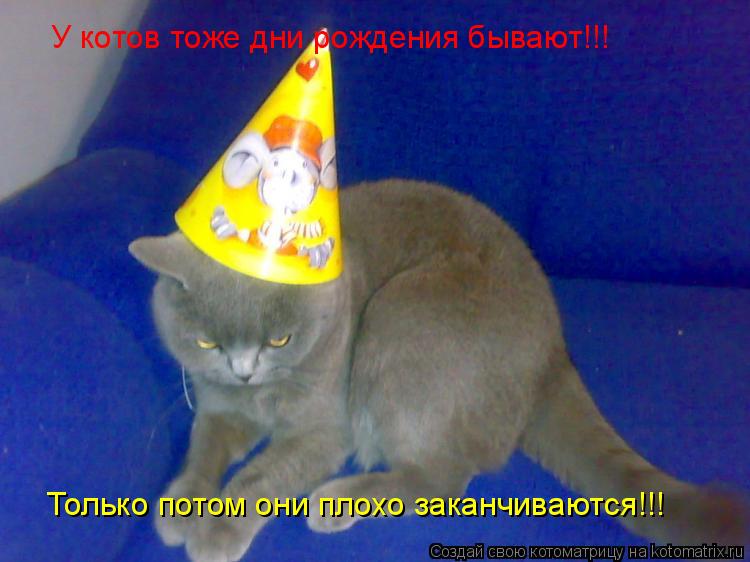 У котов тоже дни рождения бывают!!! Только потом они плохо заканчиваются!!!... Котоматрица: У котов тоже дни рождения бывают!!! Только потом они плохо заканчиваются!!!