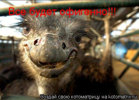Все будет офигенно!!! Все будет офигенно!!!... Котоматрица: Все будет офигенно!!! Все будет офигенно!!!