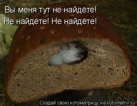 Вы меня тут не найдёте! Не найдёте! Не найдёте!... Котоматрица: Вы меня тут не найдёте! Не найдёте! Не найдёте!