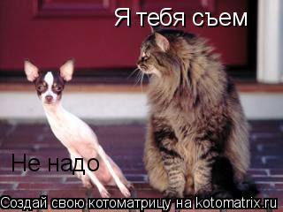 Я тебя съем Не надо... Котоматрица: Я тебя съем Не надо