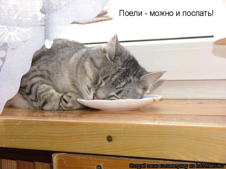 Поели - можно и поспать!... Котоматрица: Поели - можно и поспать!